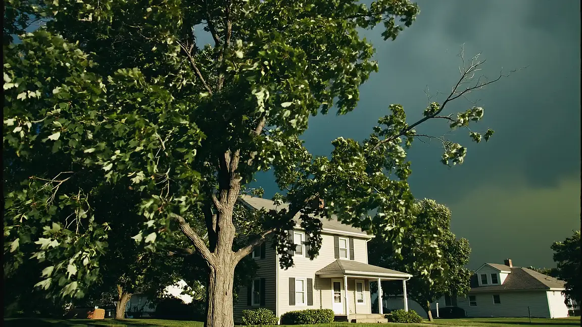A large maple moving in rising wind as a storm front builds behind a suburban house